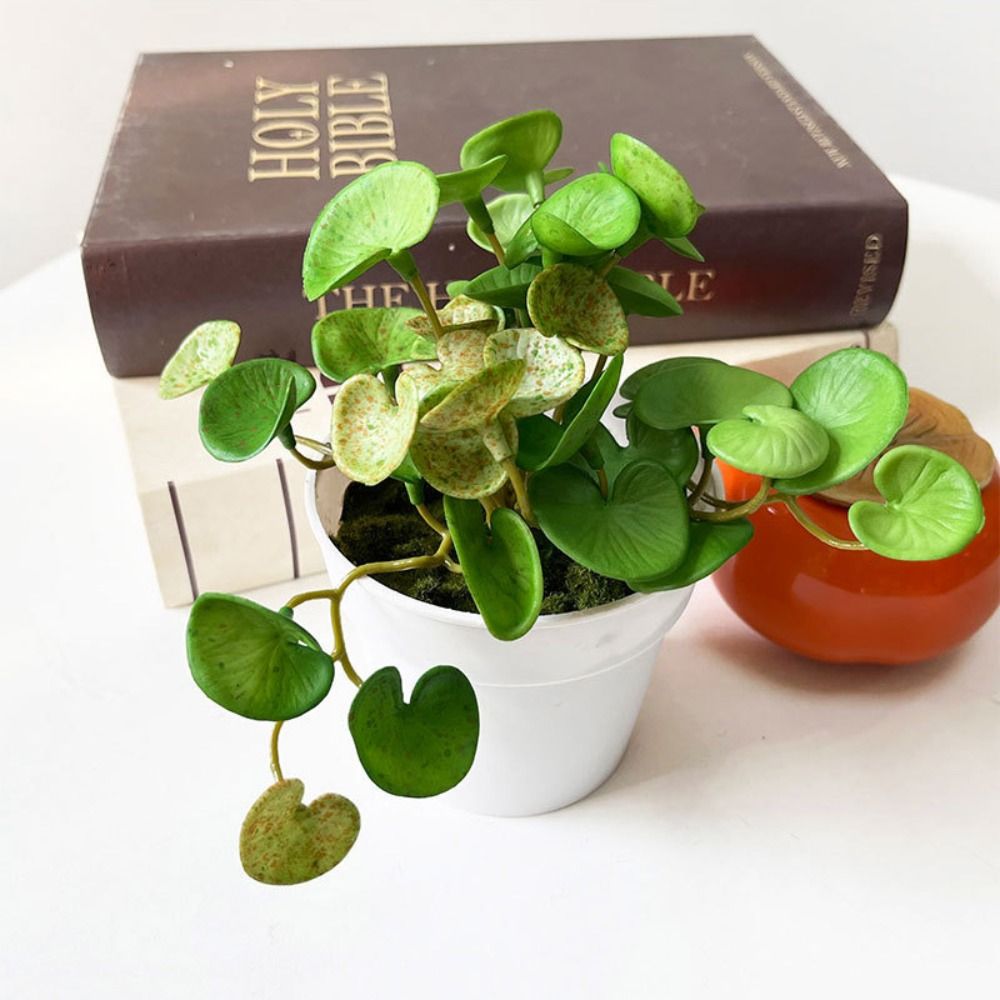 Pegamento suave, planta Artifi - Interior Design Office reseña y precio