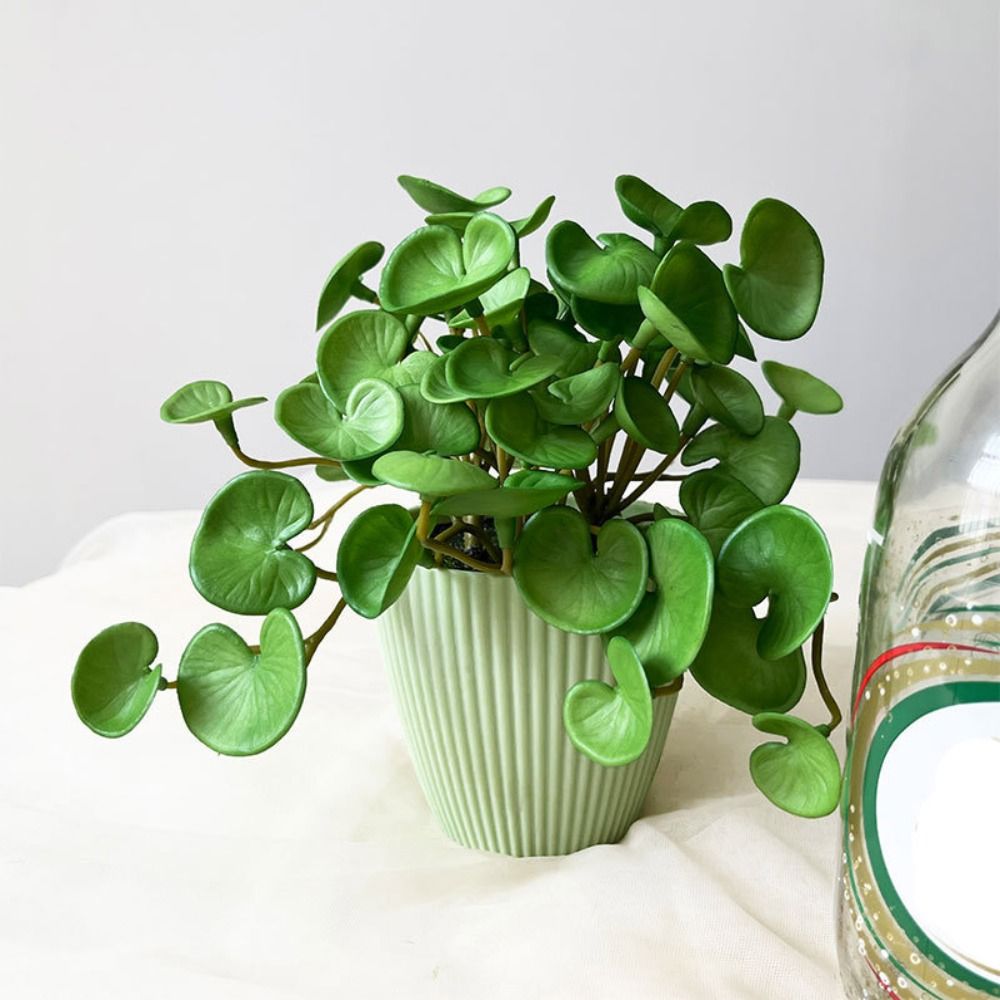 Pegamento suave, planta Artifi - Interior Design Office reseña y precio
