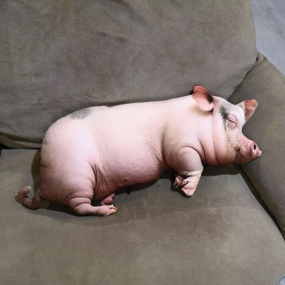 Almohada de cuerpo de animal d - Textured Throw Natural reseña y precio